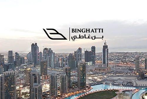 Developer Image